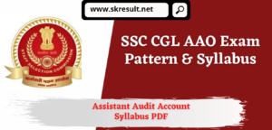 Assistant Audit Officer Syllabus PDF in Hindi