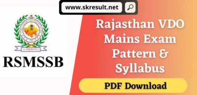 RSMSSB VDO Mains Syllabus 2024 in Hindi PDF Download