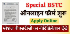 special bstc 2022 form date