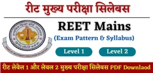 REET Mains Syllabus 2024 PDF Download in Hindi, Level 1, 2