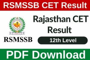 RSMSSB CET 12th Level Result 2023 PDF Download Link